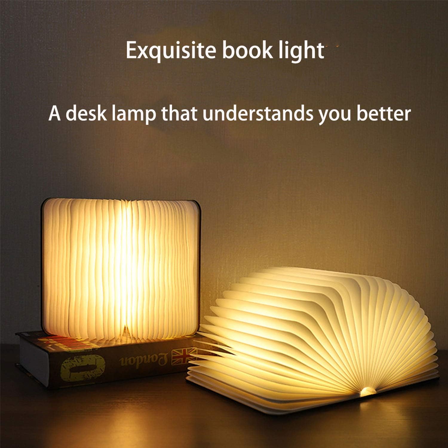 Timeless USB Book Lamp