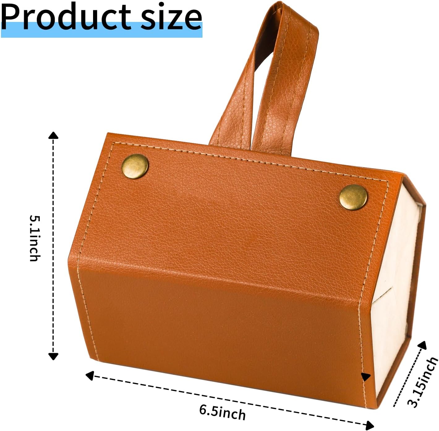SmartCarry Sunglass Case
