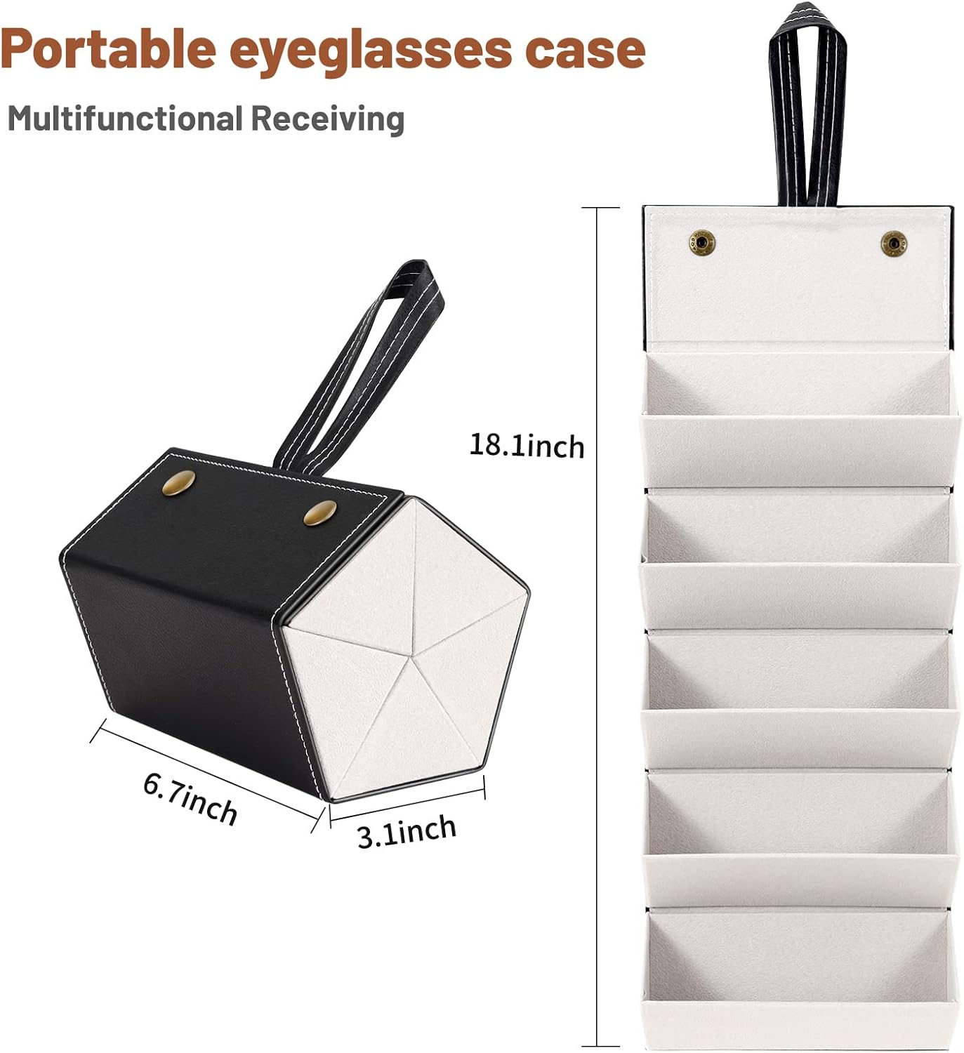 SmartCarry Sunglass Case